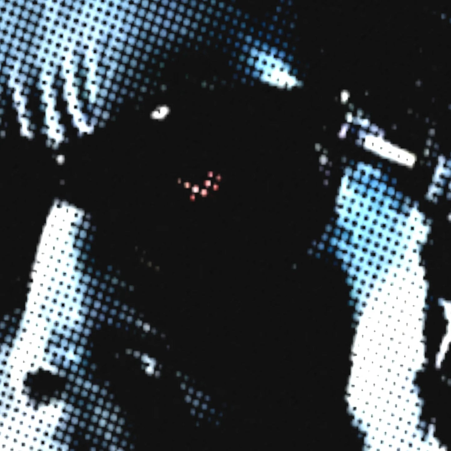 Camiseta Terminator (Arnold Schwarzenegger)